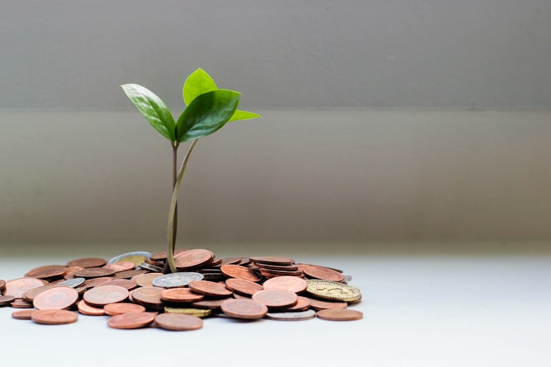 Financial Stewardship: Honouring God with Your Resources